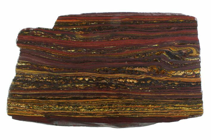 Polished Tiger Iron Stromatolite Slab - Billion Years #354941